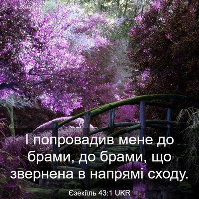 Picture 03 - Єзекіїль 43:1 UKR - І попровадив мене до брами, - Bible Verse Picture