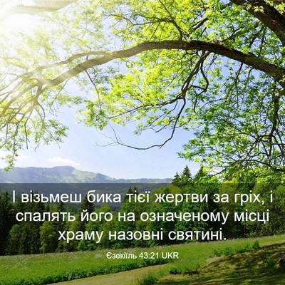 Picture 03 - Єзекіїль 43:21 UKR - І візьмеш бика тієї жертви - Bible Verse Picture