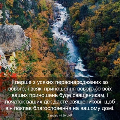 Picture 03 - Єзекіїль 44:30 UKR - І перше з усяких - Bible Verse Picture