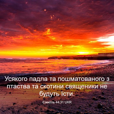 Picture 03 - Єзекіїль 44:31 UKR - Усякого падла та - Bible Verse Picture
