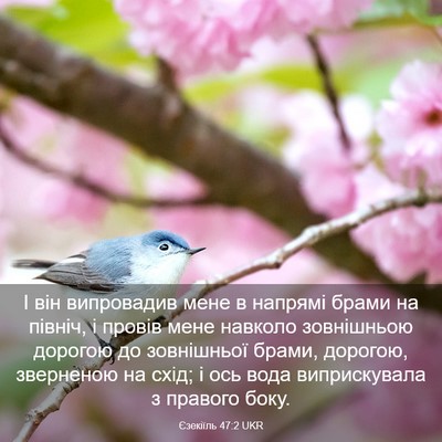 Picture 03 - Єзекіїль 47:2 UKR - І він випровадив мене в - Bible Verse Picture