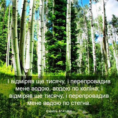 Picture 03 - Єзекіїль 47:4 UKR - І відміряв ще тисячу, і - Bible Verse Picture