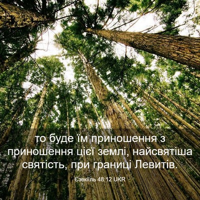 Picture 03 - Єзекіїль 48:12 UKR - то буде їм приношення з - Bible Verse Picture