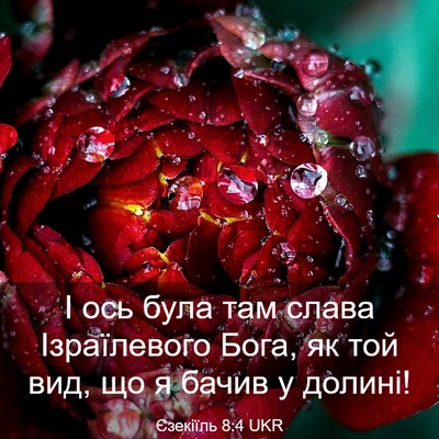 Picture 03 - Єзекіїль 8:4 UKR - І ось була там слава - Bible Verse Picture