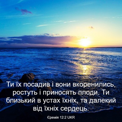 Picture 03 - Єремія 12:2 UKR - Ти їх посадив і вони - Bible Verse Picture