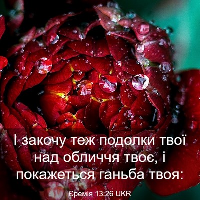 Picture 03 - Єремія 13:26 UKR - І закочу теж подолки твої - Bible Verse Picture