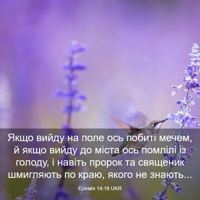 Picture 03 - Єремія 14:18 UKR - Якщо вийду на поле ось - Bible Verse Picture