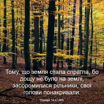 Picture 03 - Єремія 14:4 UKR - Тому, що земля стала - Bible Verse Picture