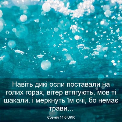 Picture 03 - Єремія 14:6 UKR - Навіть дикі осли поставали - Bible Verse Picture