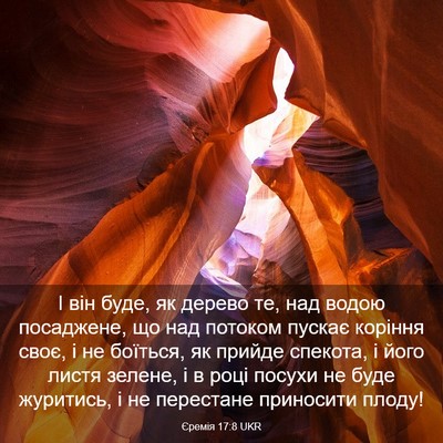Picture 03 - Єремія 17:8 UKR - І він буде, як дерево те, - Bible Verse Picture