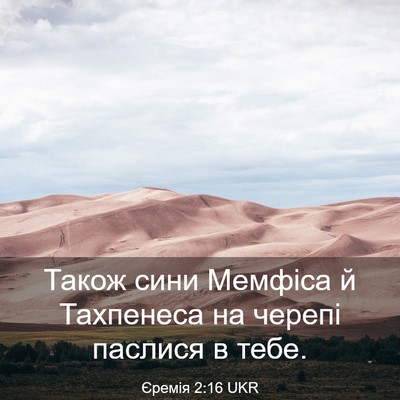 Picture 03 - Єремія 2:16 UKR - Також сини Мемфіса й - Bible Verse Picture