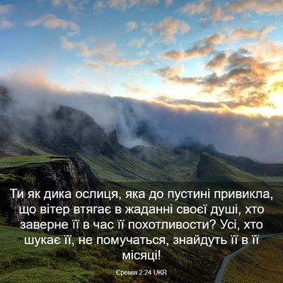 Picture 03 - Єремія 2:24 UKR - Ти як дика ослиця, яка до - Bible Verse Picture