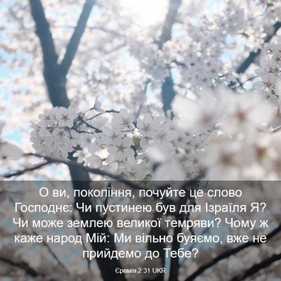 Picture 03 - Єремія 2:31 UKR - О ви, покоління, почуйте це - Bible Verse Picture