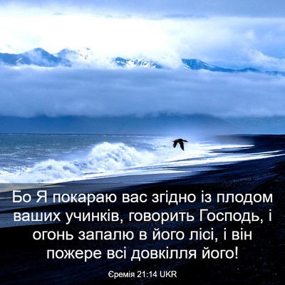 Picture 03 - Єремія 21:14 UKR - Бо Я покараю вас згідно із - Bible Verse Picture