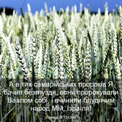 Picture 03 - Єремія 23:13 UKR - А в тих самарійських - Bible Verse Picture
