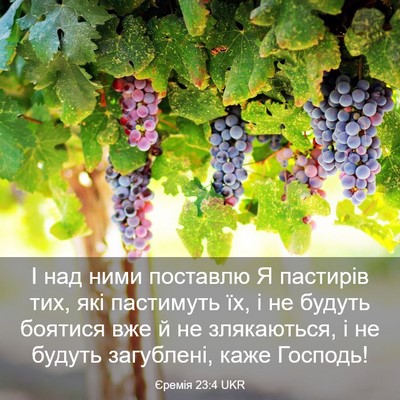 Picture 03 - Єремія 23:4 UKR - І над ними поставлю Я - Bible Verse Picture