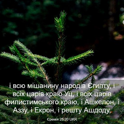 Picture 03 - Єремія 25:20 UKR - і всю мішанину народів - Bible Verse Picture