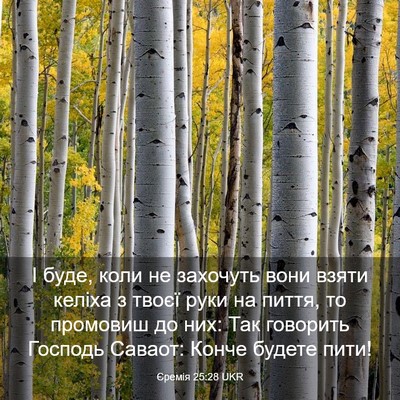 Picture 03 - Єремія 25:28 UKR - І буде, коли не захочуть - Bible Verse Picture