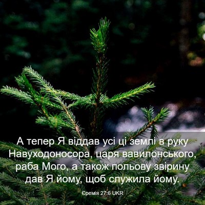 Picture 03 - Єремія 27:6 UKR - А тепер Я віддав усі ці - Bible Verse Picture