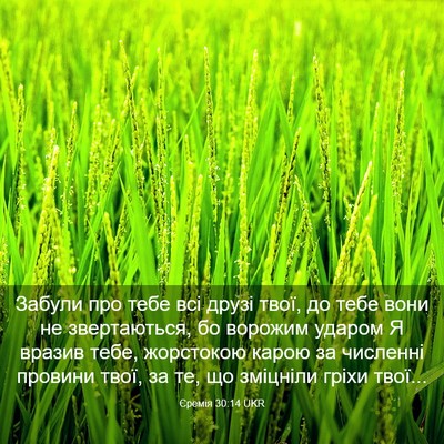 Picture 03 - Єремія 30:14 UKR - Забули про тебе всі друзі - Bible Verse Picture
