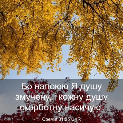 Picture 03 - Єремія 31:25 UKR - Бо напоюю Я душу змучену, і - Bible Verse Picture