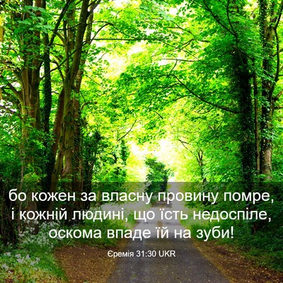 Picture 03 - Єремія 31:30 UKR - бо кожен за власну провину - Bible Verse Picture