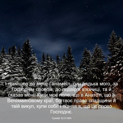 Picture 03 - Єремія 32:8 UKR - І прийшов до мене Ганамеїл, - Bible Verse Picture