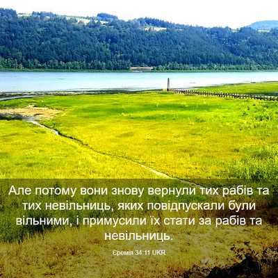 Picture 03 - Єремія 34:11 UKR - Але потому вони знову - Bible Verse Picture
