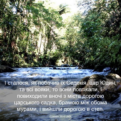 Picture 03 - Єремія 39:4 UKR - І сталося, як побачив їх - Bible Verse Picture