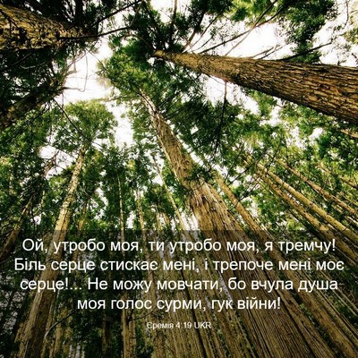 Picture 03 - Єремія 4:19 UKR - Ой, утробо моя, ти утробо - Bible Verse Picture