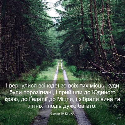 Picture 03 - Єремія 40:12 UKR - І вернулися всі юдеї зо - Bible Verse Picture