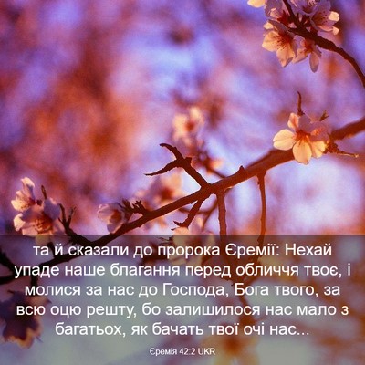 Picture 03 - Єремія 42:2 UKR - та й сказали до пророка - Bible Verse Picture