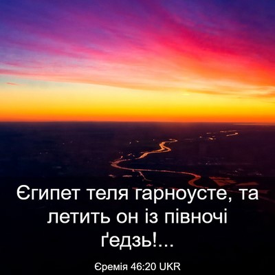 Picture 03 - Єремія 46:20 UKR - Єгипет теля гарноусте, та - Bible Verse Picture