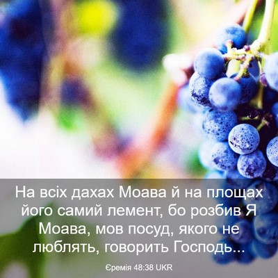 Picture 03 - Єремія 48:38 UKR - На всіх дахах Моава й на - Bible Verse Picture