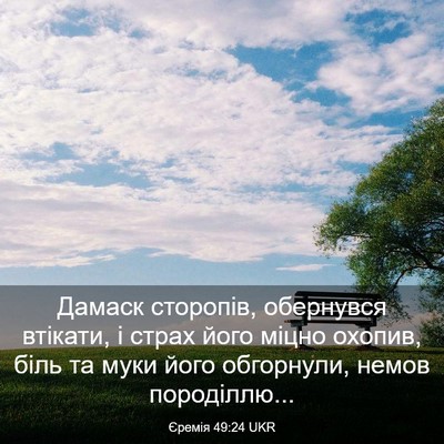 Picture 03 - Єремія 49:24 UKR - Дамаск сторопів, обернувся - Bible Verse Picture