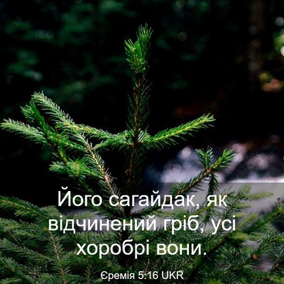 Picture 03 - Єремія 5:16 UKR - Його сагайдак, як - Bible Verse Picture