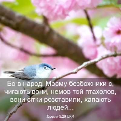 Picture 03 - Єремія 5:26 UKR - Бо в народі Моєму - Bible Verse Picture