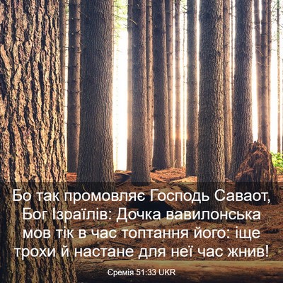 Picture 03 - Єремія 51:33 UKR - Бо так промовляє Господь - Bible Verse Picture