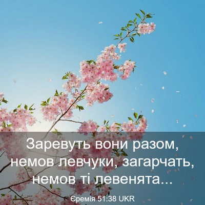 Picture 03 - Єремія 51:38 UKR - Заревуть вони разом, немов - Bible Verse Picture
