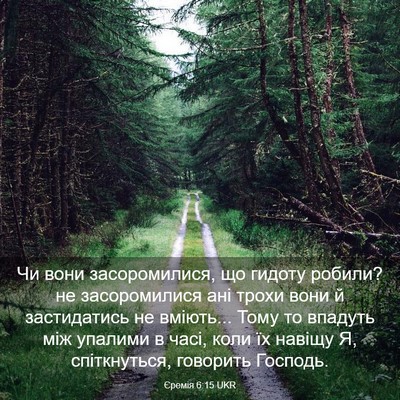 Picture 03 - Єремія 6:15 UKR - Чи вони засоромилися, що - Bible Verse Picture