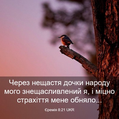 Picture 03 - Єремія 8:21 UKR - Через нещастя дочки народу - Bible Verse Picture