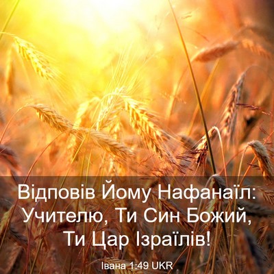 Picture 03 - Івана 1:49 UKR - Відповів Йому Нафанаїл: - Bible Verse Picture
