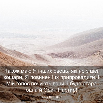 Picture 03 - Івана 10:16 UKR - Також маю Я інших овець, - Bible Verse Picture
