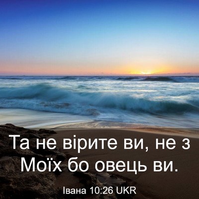 Picture 03 - Івана 10:26 UKR - Та не вірите ви, не з Моїх - Bible Verse Picture
