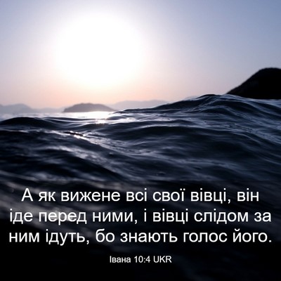 Picture 03 - Івана 10:4 UKR - А як вижене всі свої вівці, - Bible Verse Picture