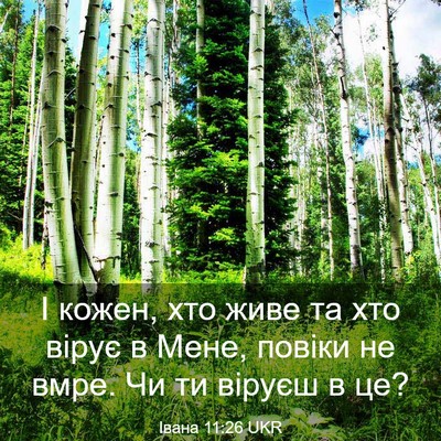 Picture 03 - Івана 11:26 UKR - І кожен, хто живе та хто - Bible Verse Picture