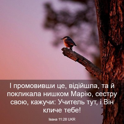 Picture 03 - Івана 11:28 UKR - І промовивши це, відійшла, - Bible Verse Picture