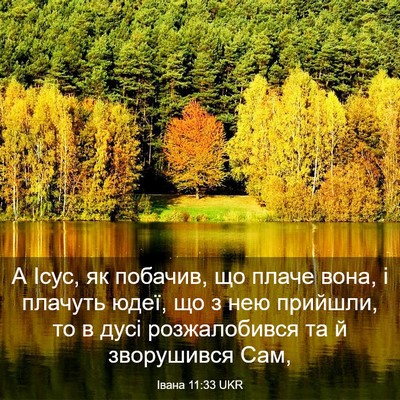 Picture 03 - Івана 11:33 UKR - А Ісус, як побачив, що плаче - Bible Verse Picture