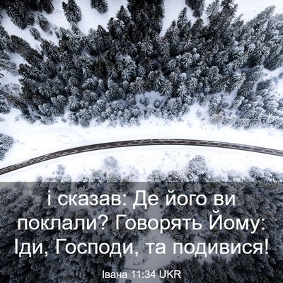 Picture 03 - Івана 11:34 UKR - і сказав: Де його ви - Bible Verse Picture