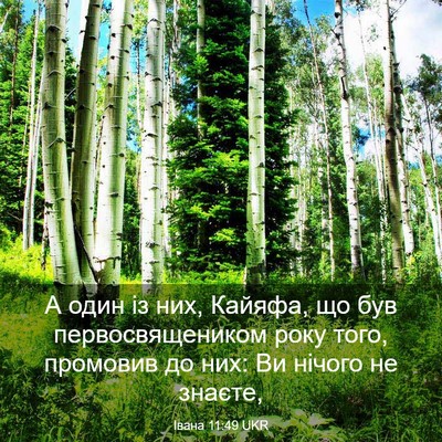 Picture 03 - Івана 11:49 UKR - А один із них, Кайяфа, що - Bible Verse Picture